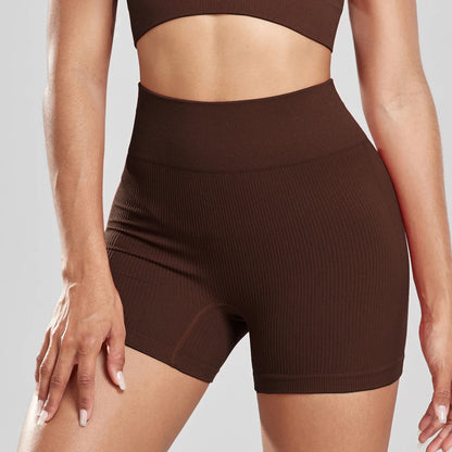 Shorts Feminino de Cintura Alta sem Costura – Karina